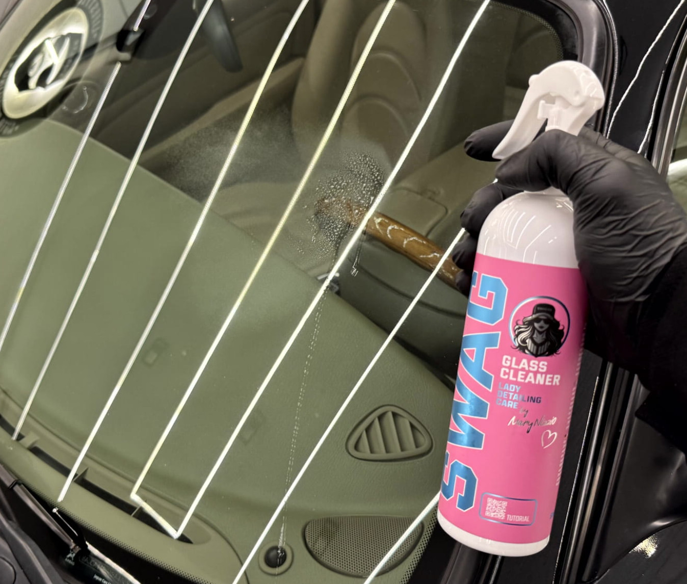 Lady Interior Cleaning Kit